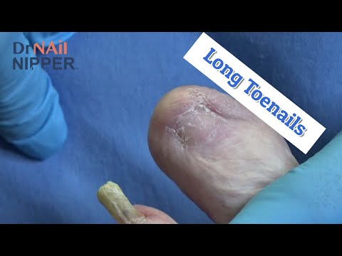 Feature Friday (2020) 1