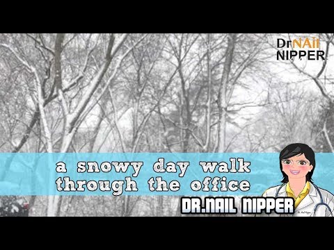 A Winter Walk in the Woods? No. A Snowy Day Walk-Through Dr Nail Nipper's Office 1