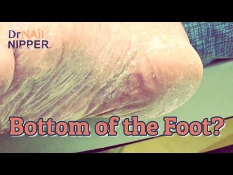 Feature Friday (2021) 1