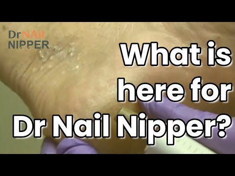 Feature Friday (2021) 1