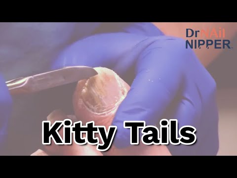 Throwback - Kitty Tails 1