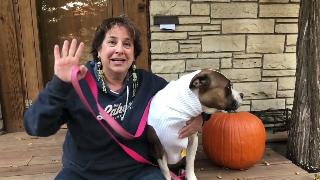 Intro for October 21 - Dr Nail Nipper #Shorts 7