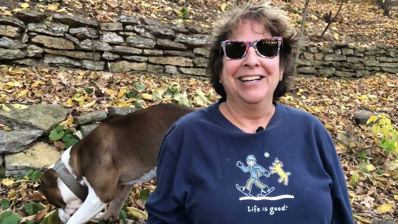 Intro for October 28 - Dr Nail Nipper #Shorts 4