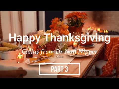 Callus in 3 Parts. Part 3. Happy Thanksgiving (2022) 1
