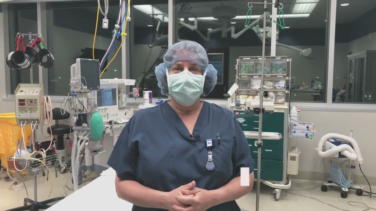 Intro for November 4 - Dr Nail Nipper #Shorts 1