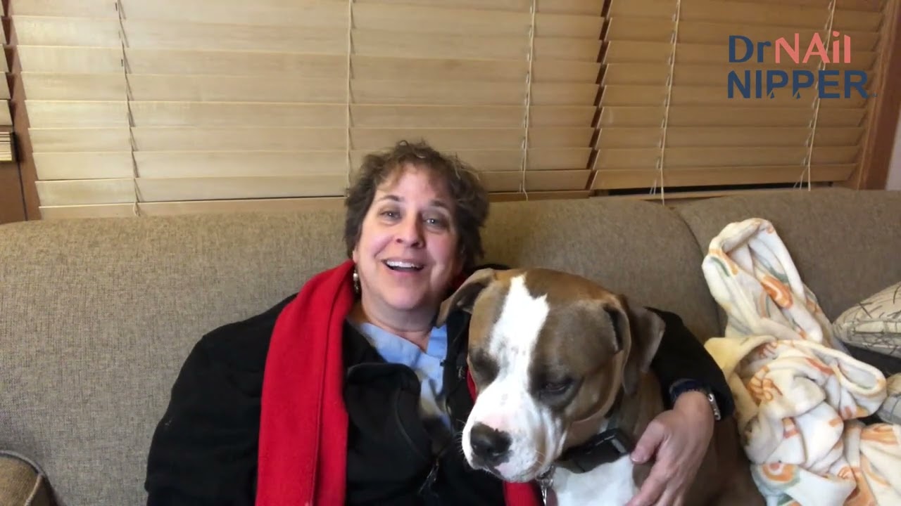 Intro for December 9 - Dr Nail Nipper #Shorts 1