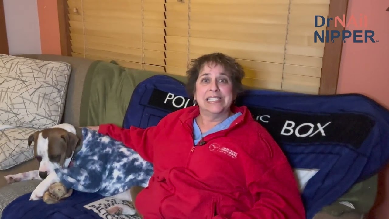 Intro for December 30 - Dr Nail Nipper 5