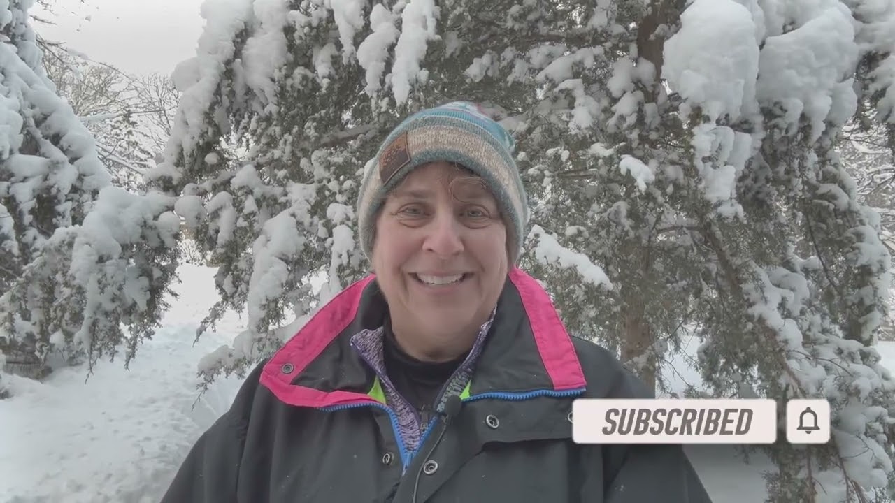 Intro for January 6 - Dr Nail Nipper 4