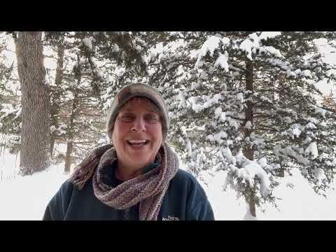 Intro for February 24 - Dr Nail Nipper 1