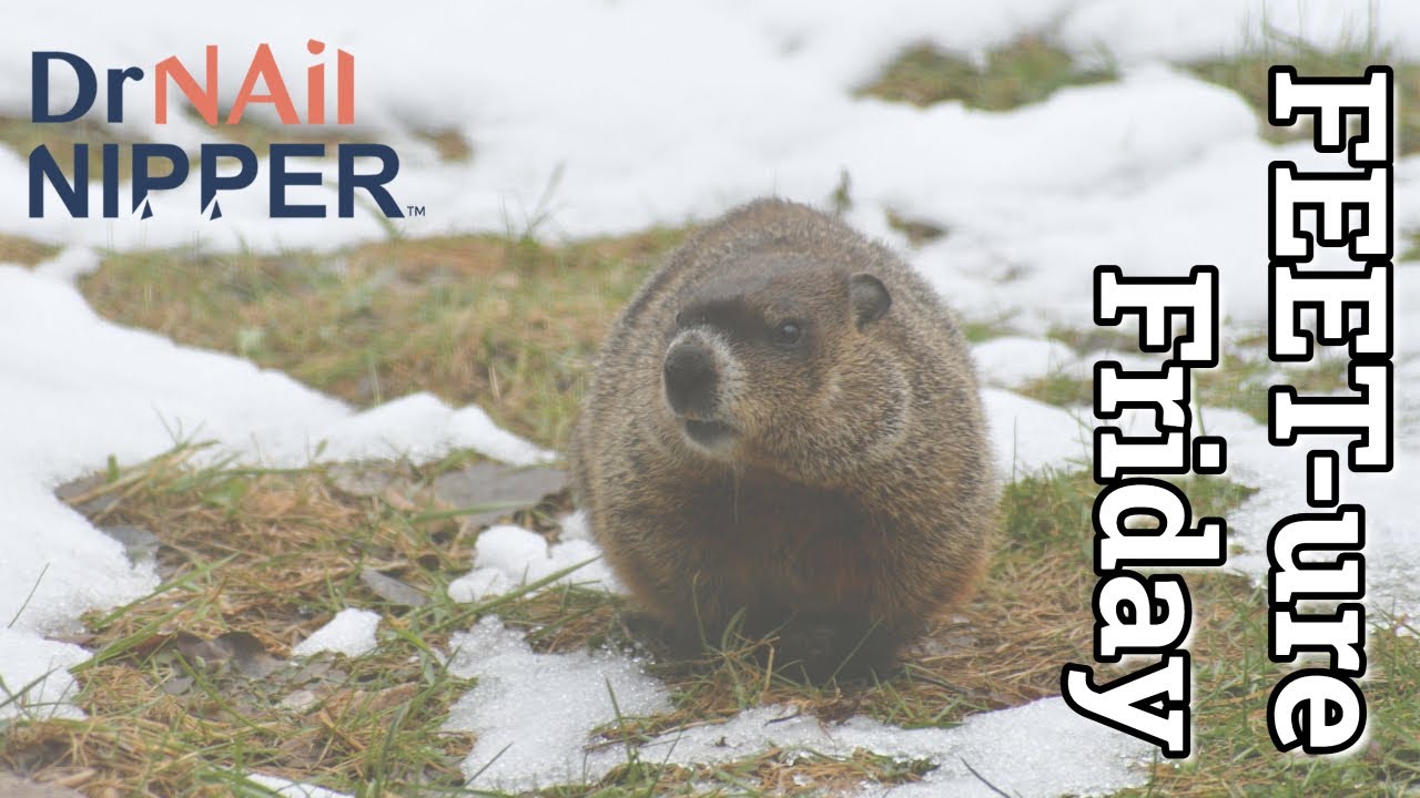 FEET-ure Friday (2022) 1