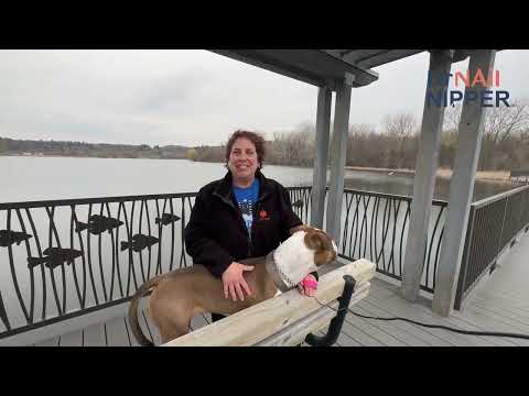 Intro for April 28 - Dr Nail Nipper 1