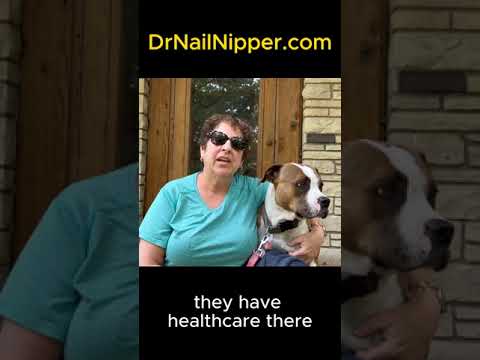 ➡️ Russian Toenails and Calluses #calluses #drnailnipper #russiantiktok 1