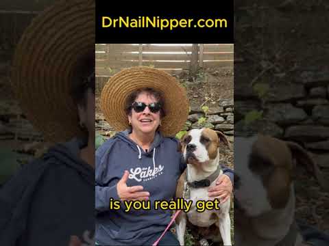 ➡️ Russian Toenails and Calluses #drnailnipper #russiantiktok 1