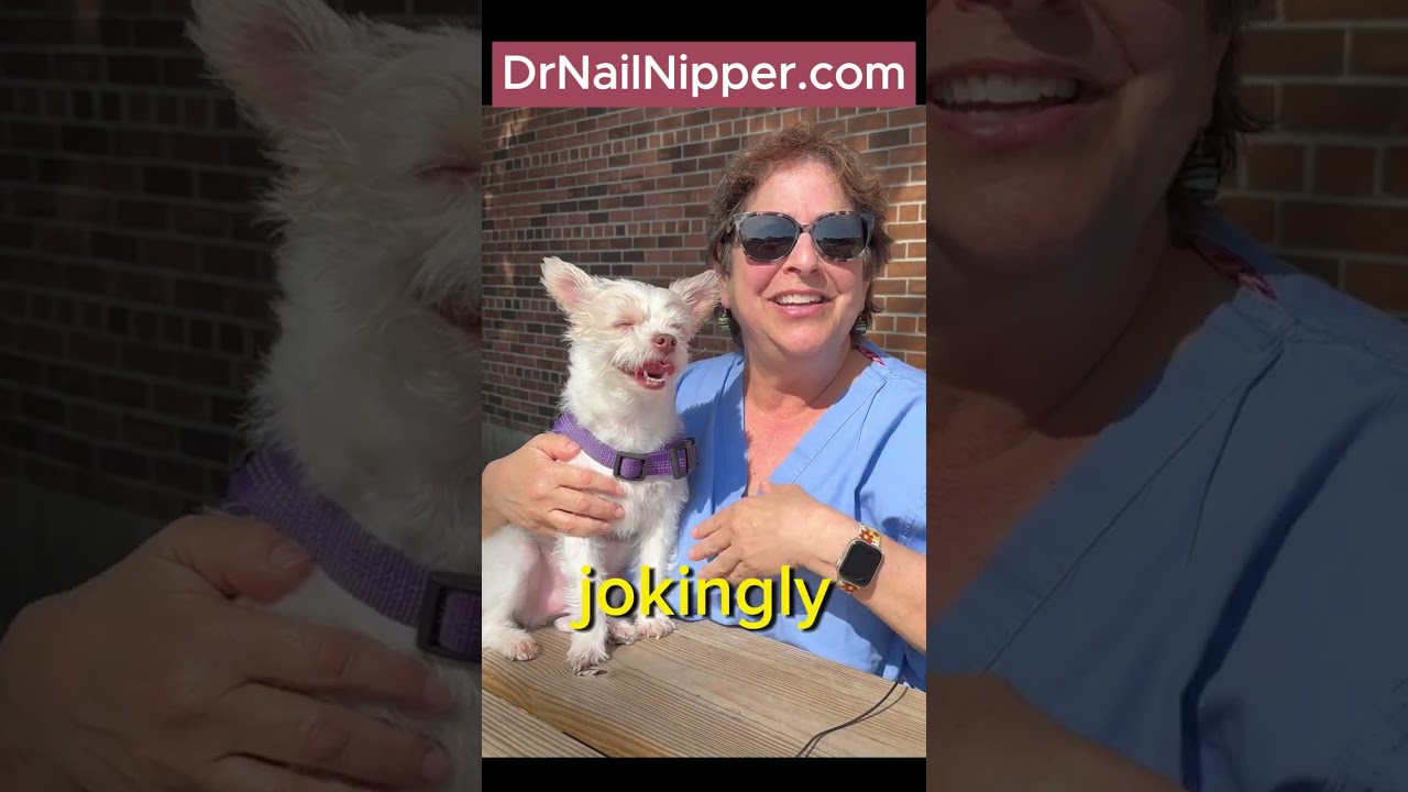 Toenails and Workout in a Pool #marathons #luluthedog #drnailnipper #feet #toenail 4