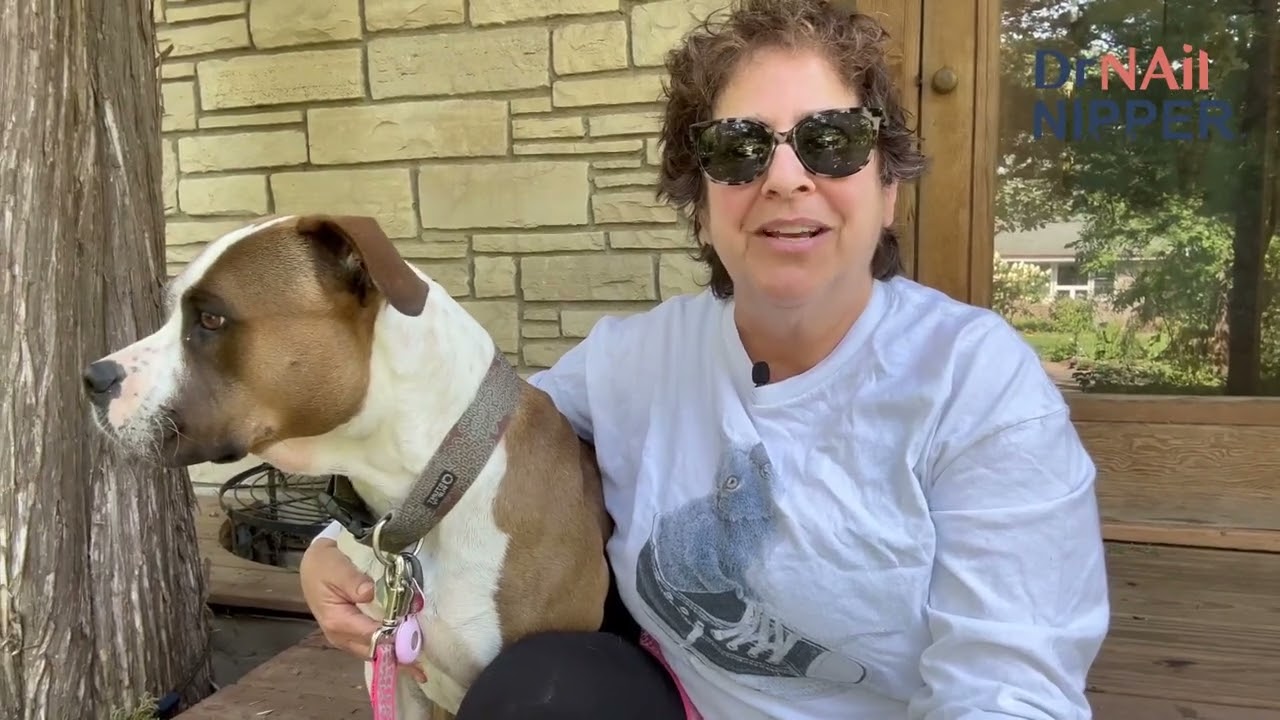 Intro for September 1 1