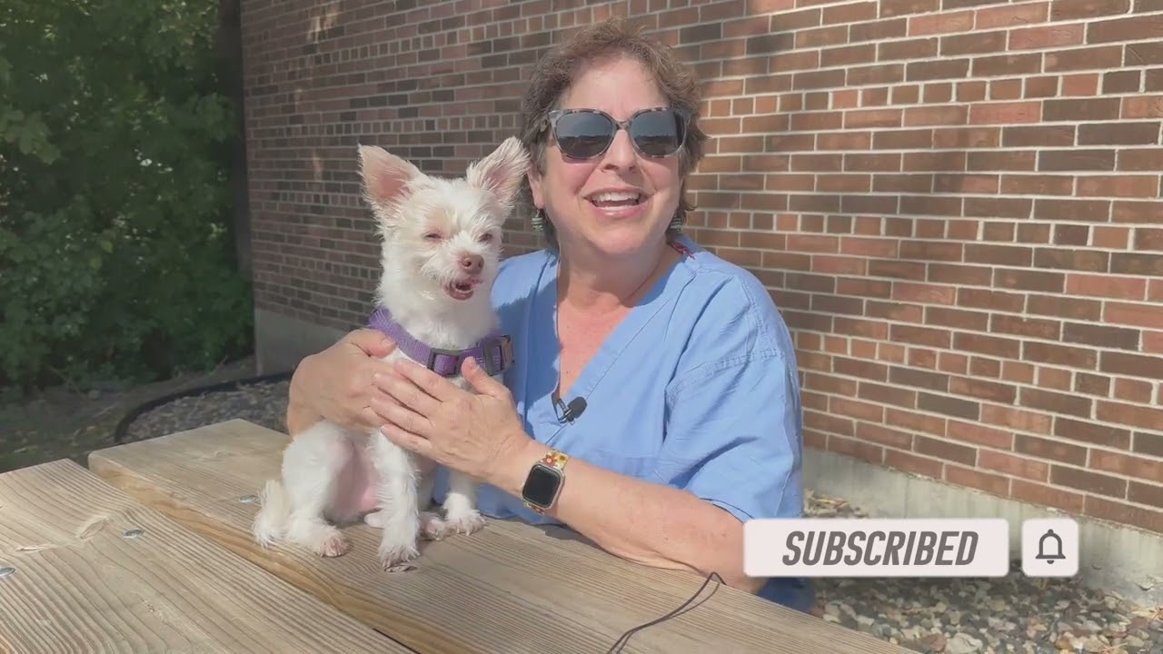 Intro for September 22 3