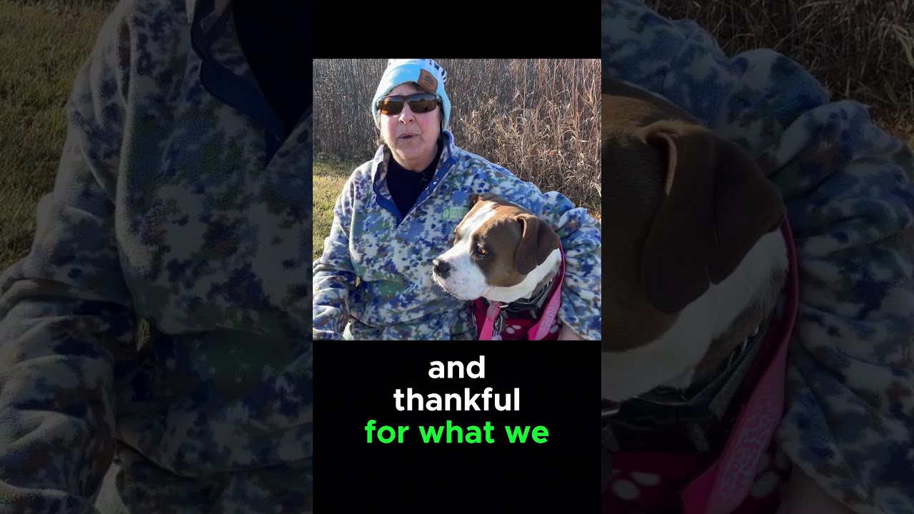 Dr Nail Nipper- Severely Thick Fungal Toenails #foothealth #podiatrycare #nailnipper 2