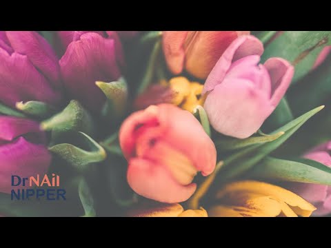 FEET-ure Friday (2024) ????????‍⚕️???????????????????? #bigtoenails #drnailnipper #footcaretips 1
