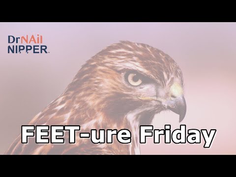 FEET-ure Friday (2024) ???????? #drnailnipper #nailpolish @HawkTuahDaily #hawktuah 1
