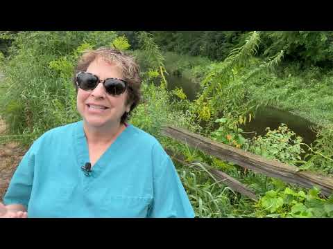 The Bigger Callus was Less Painful | Intro - Dr Nail Nipper 1