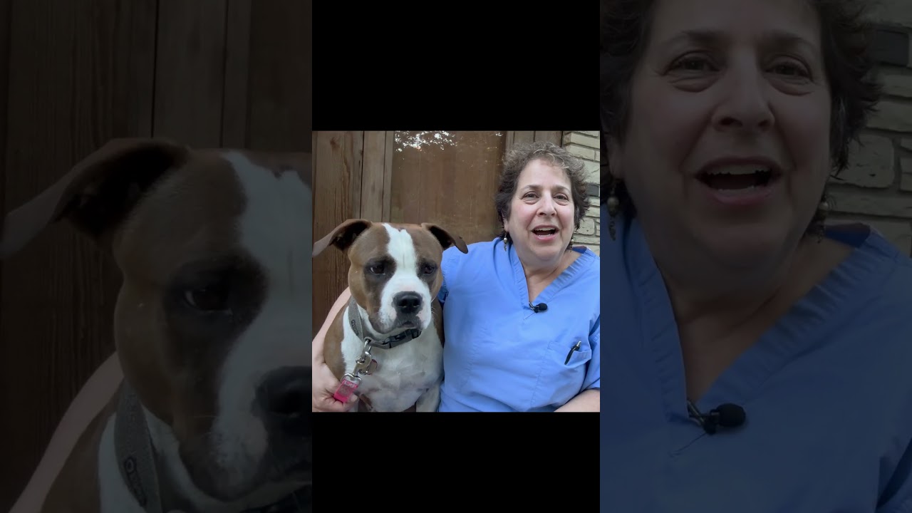 Big bunions and toenails - Intro 6