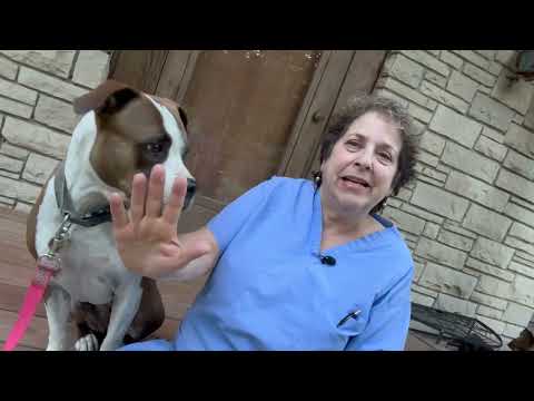 Big bunions and toenails | Intro - Dr Nail Nipper 1
