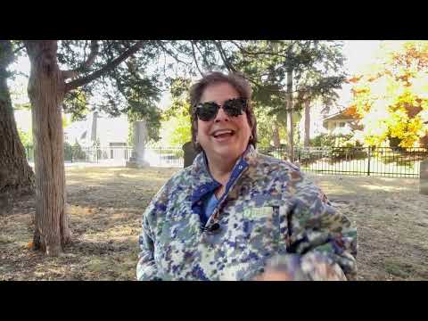 Sinister Pes for Spooky Season, 1/2 Hour of Only Left Feet | Intro - Dr Nail Nipper 1