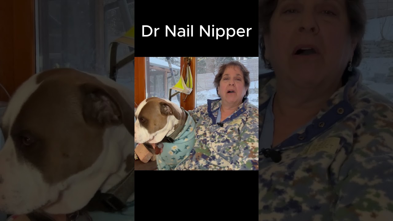 Warts, wounds and toenails - Intro #drnailnipper #foothealth #podiatry 1