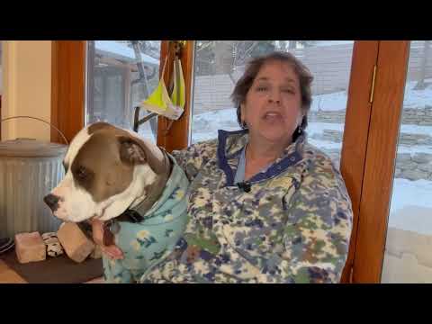 Warts, Wounds and Toenails - Intro #drnailnipper #foothealth #podiatry #footcare 1