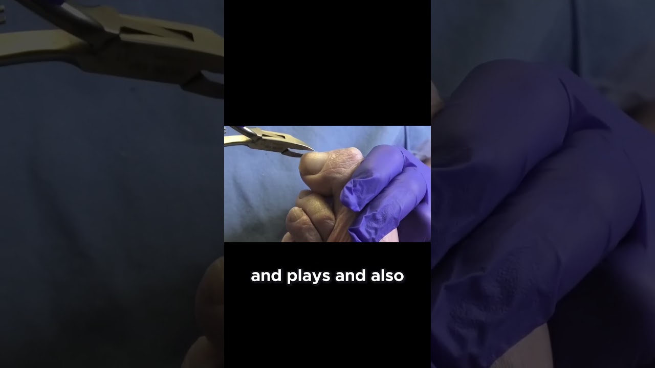 Staying Busy with Zoom Classes! #ZoomClasses #LifelongLearning #stayengaged 1