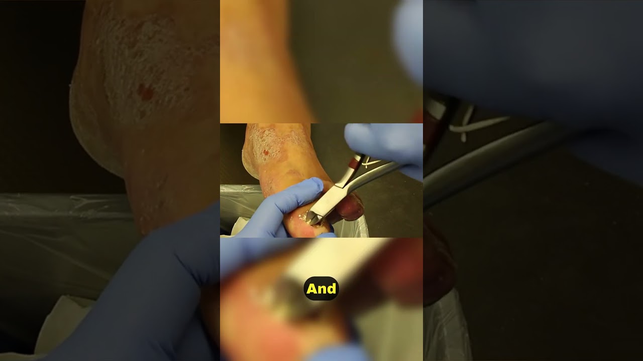 Journey from Houston to New City 🚀🌆 1