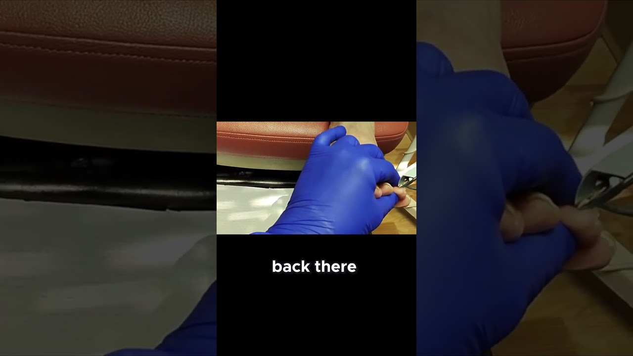 Summer Gardening Secrets From Shade to Sunlight and Growing Pine Trees! #PlantStories #NatureLovers 4