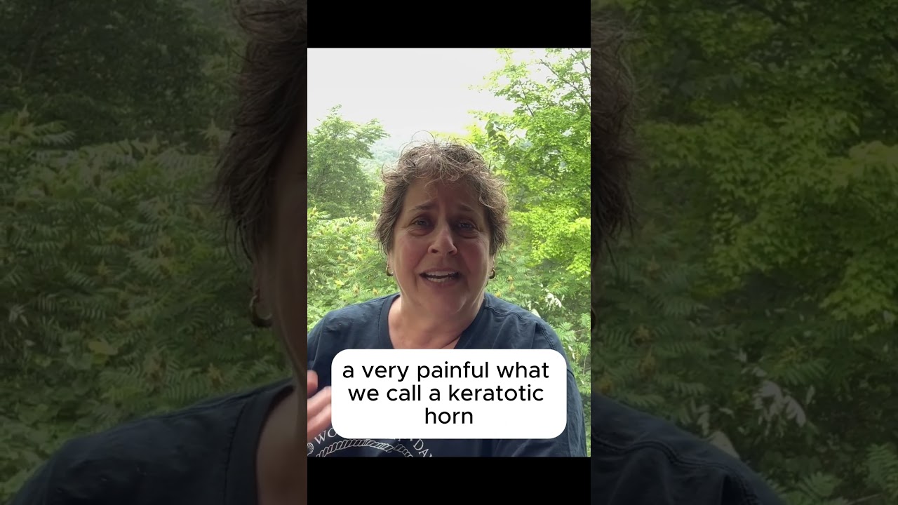 One Single Keratotic Horn - Intro 5