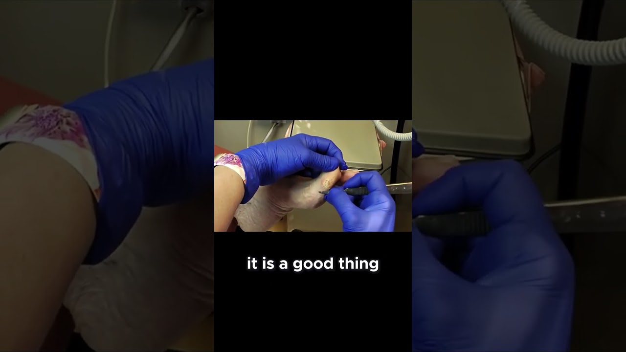 Power Outage Chaos and Dog Adventures A Weekend You Won't Forget! #DogAdventures #WeekendVibes 5